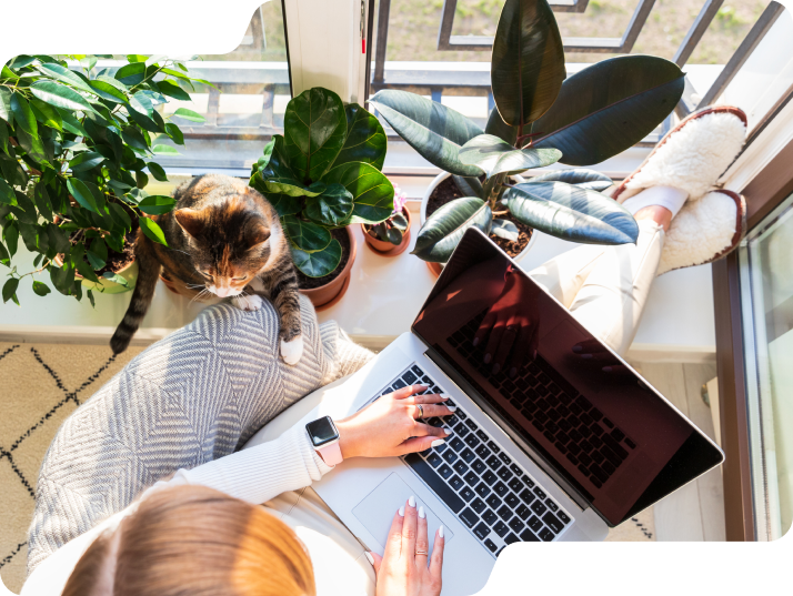 Top down shot of woman on laptop with a cat